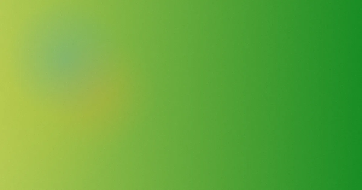 牧教师动漫同款厚蛋烧便当